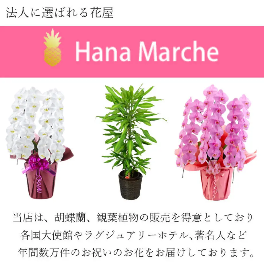 5fb4c125f0b10819cc869860