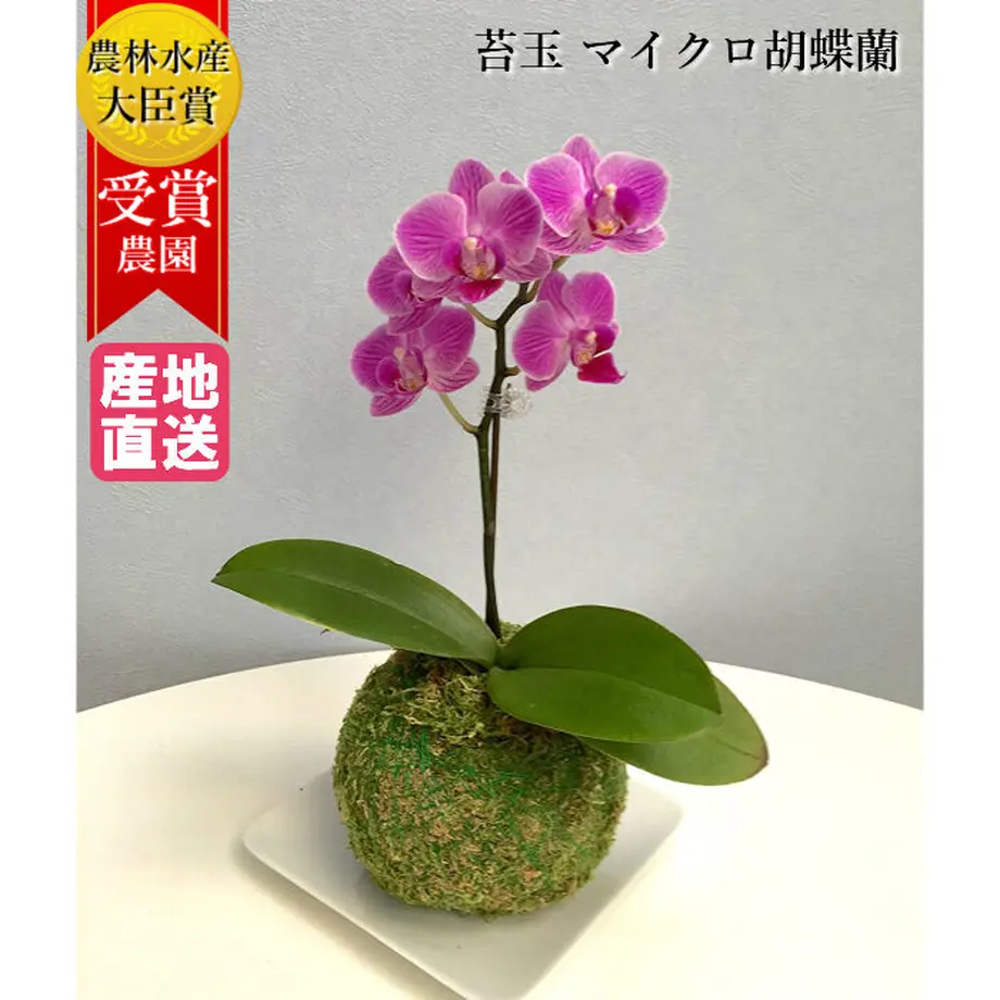 5b70085cef843f7c7f000c11