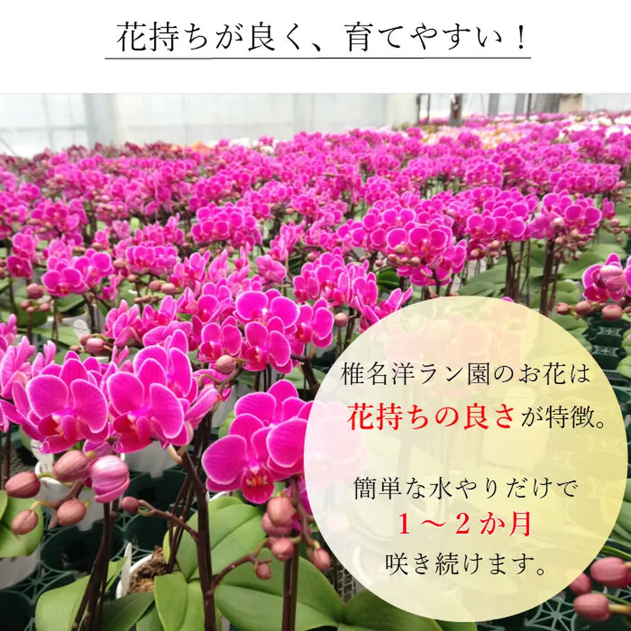 5b334a0def843f52160001c9