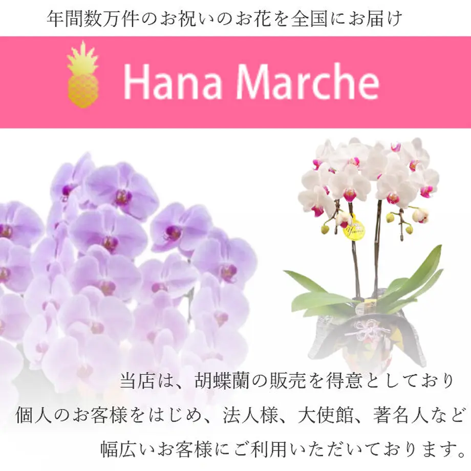 5b41a8b850bbc33d99002aff