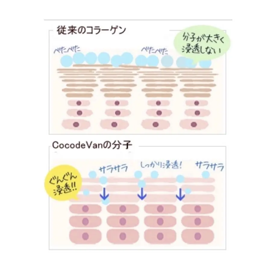 5cc1c22ea8945218ec72cbf8