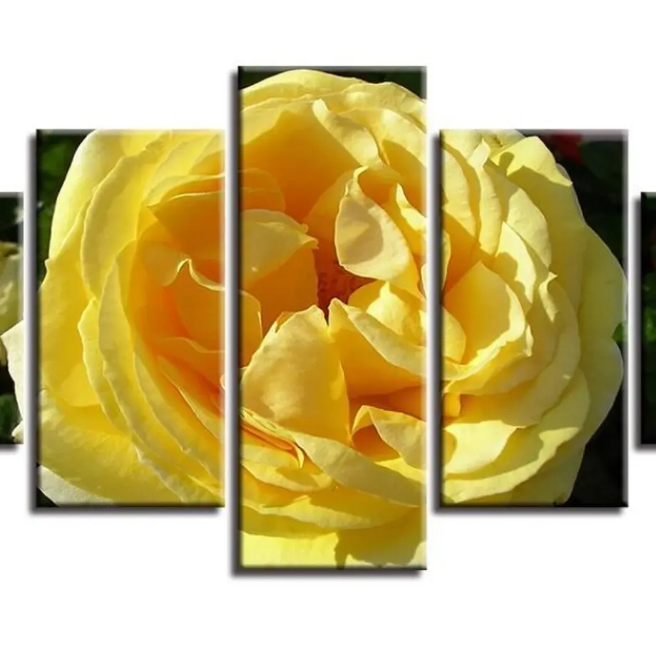 5ed6635b72b91149fe169edb