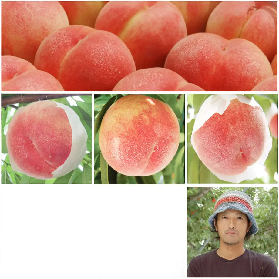 5592616f86b188108d000944
