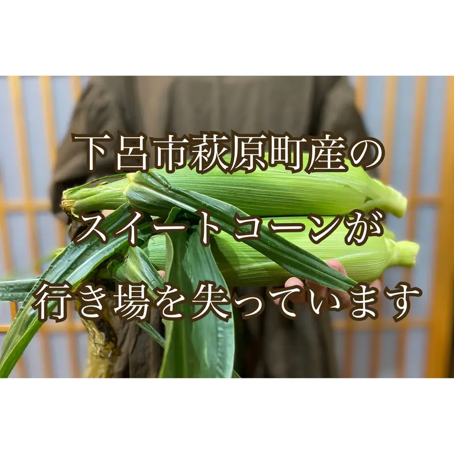 5f0947b6ea3c9d6c6d34a849
