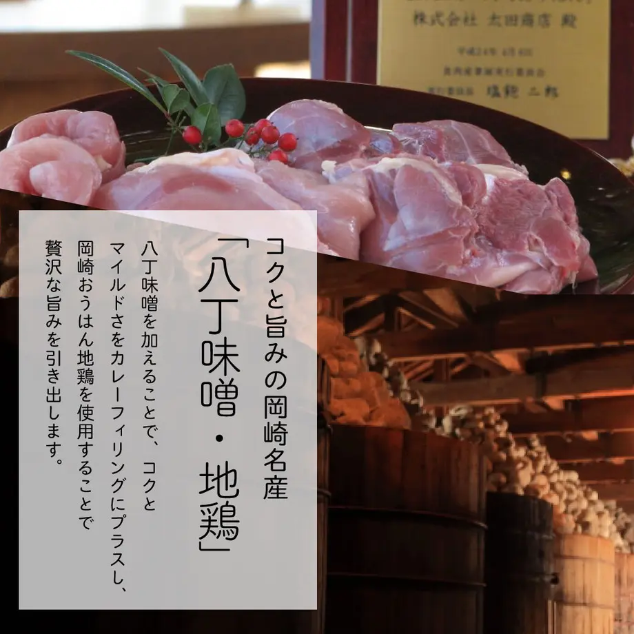 5f8d24583313d20198796830