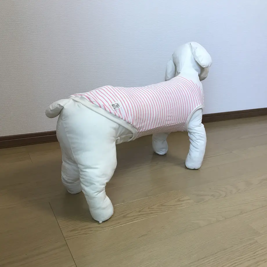 5ce64447c843ce623e3e21fd