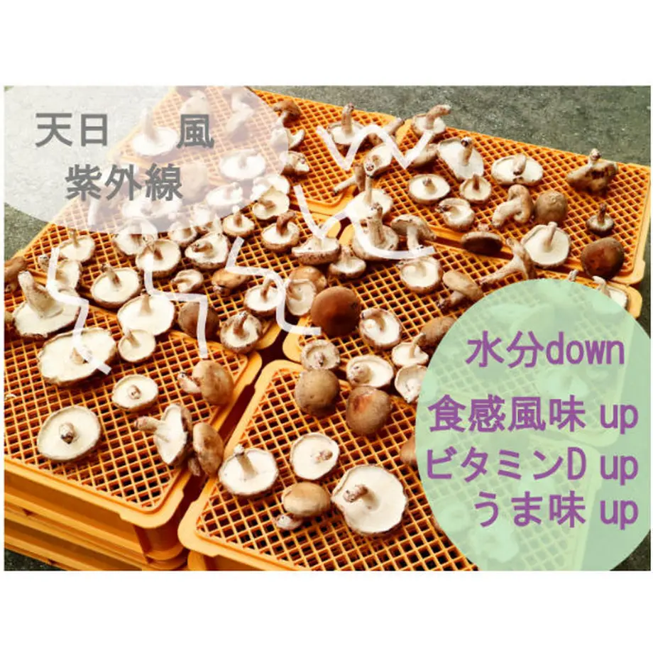5f06bf64df62a92b0b17131f