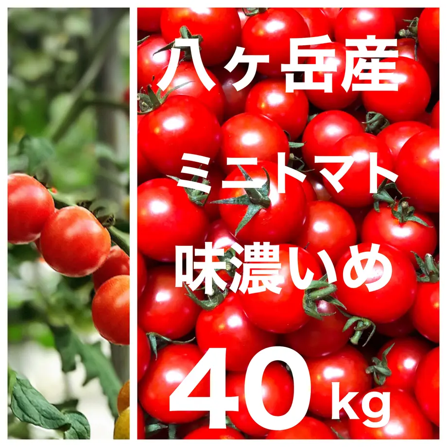 5f62d7fb8f2ebd26e5f9bf05