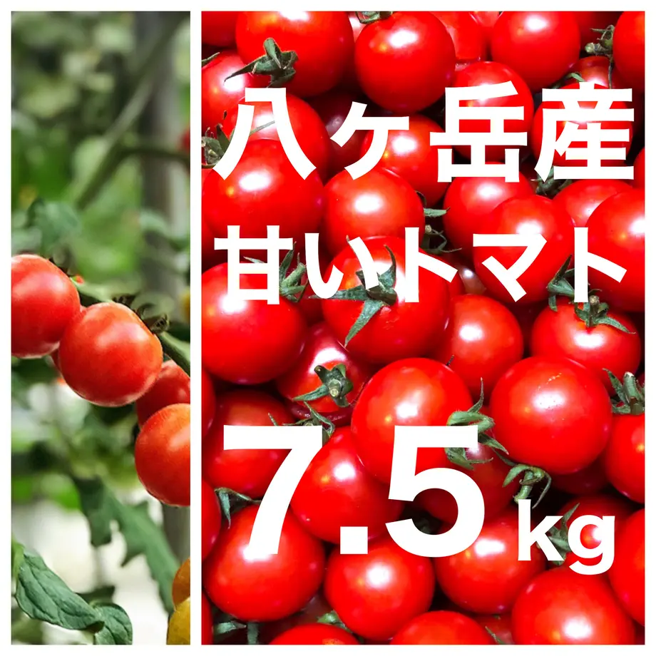 5e7816fe9df16350710ab7ae