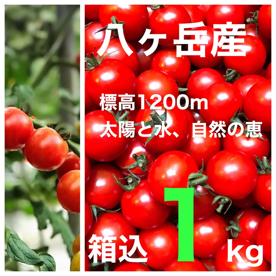 5f033e8b4adba05108bf302e