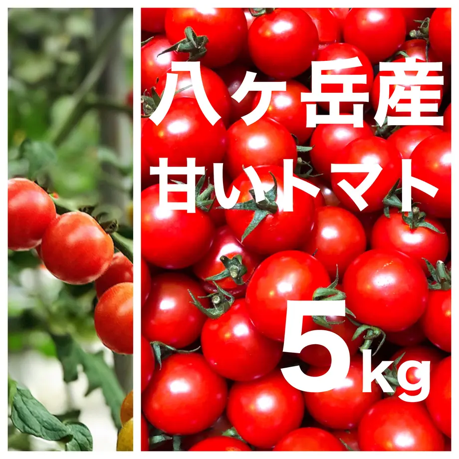 5e78168a9df16350710ab78e