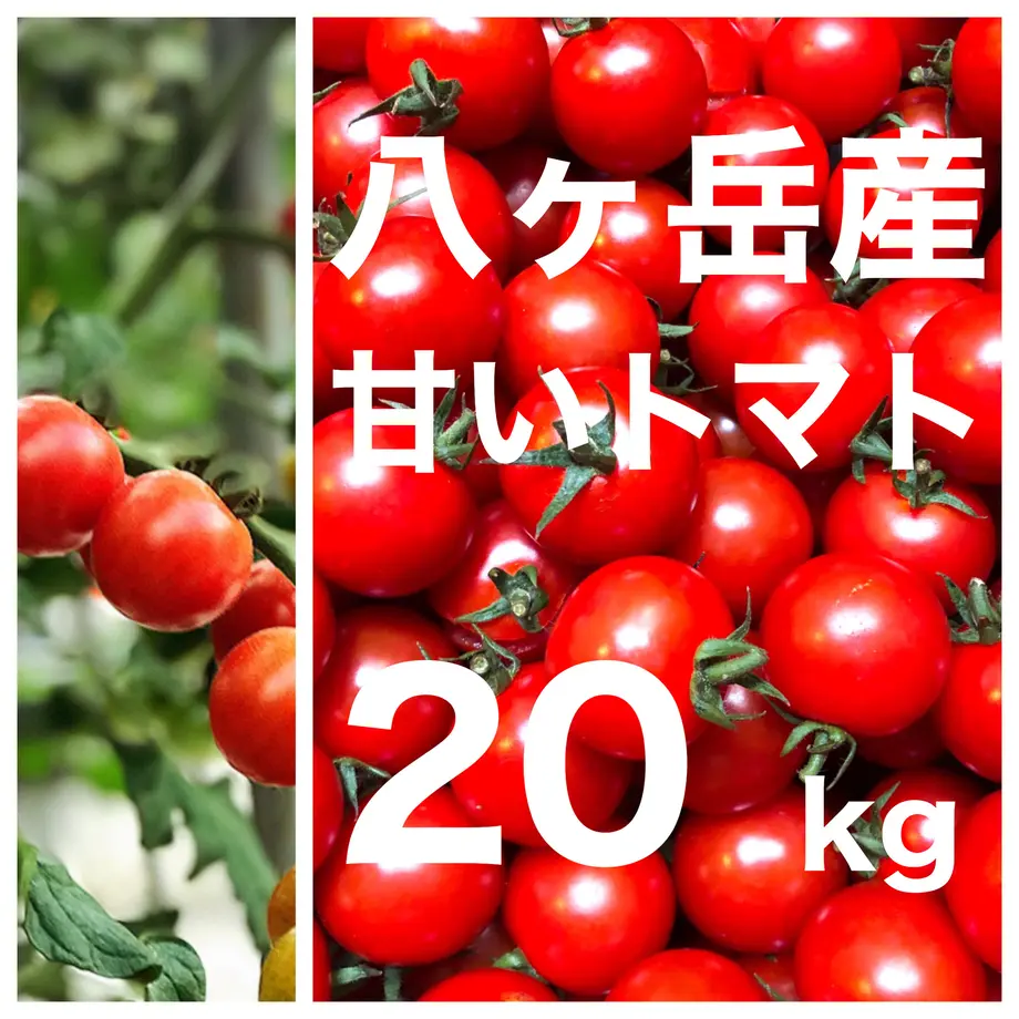 5e78180a2a9a4237a3e0f915