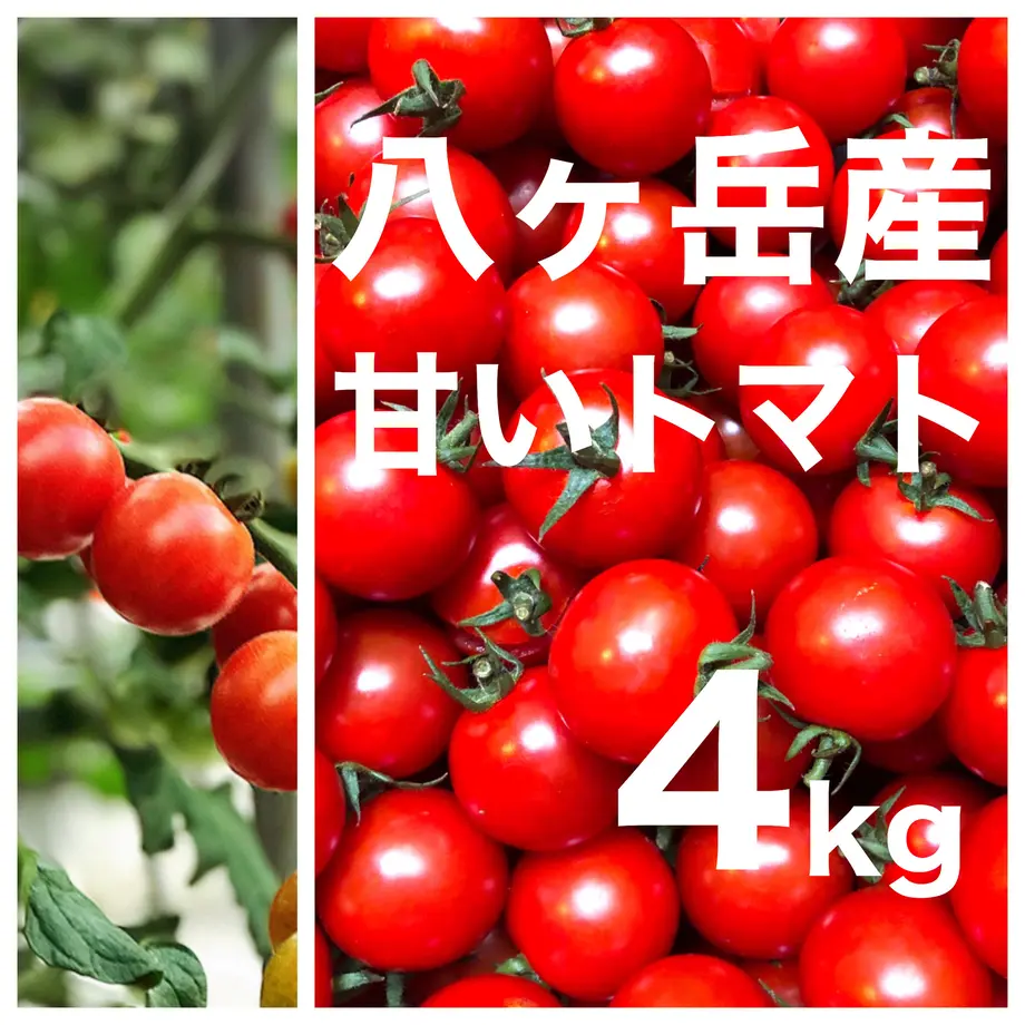 5e745b0be20b041634566590