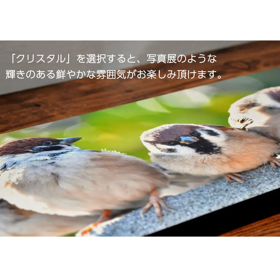 5ddb69284fb6c73868b87dc2