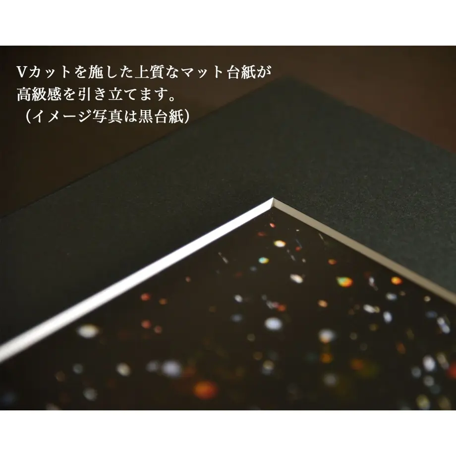 5e2819adc78a537b55e832c5