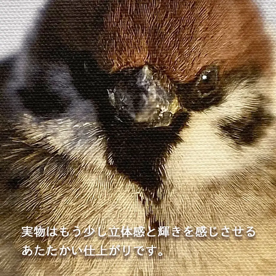 5fa8d60772eb460c43f0b512