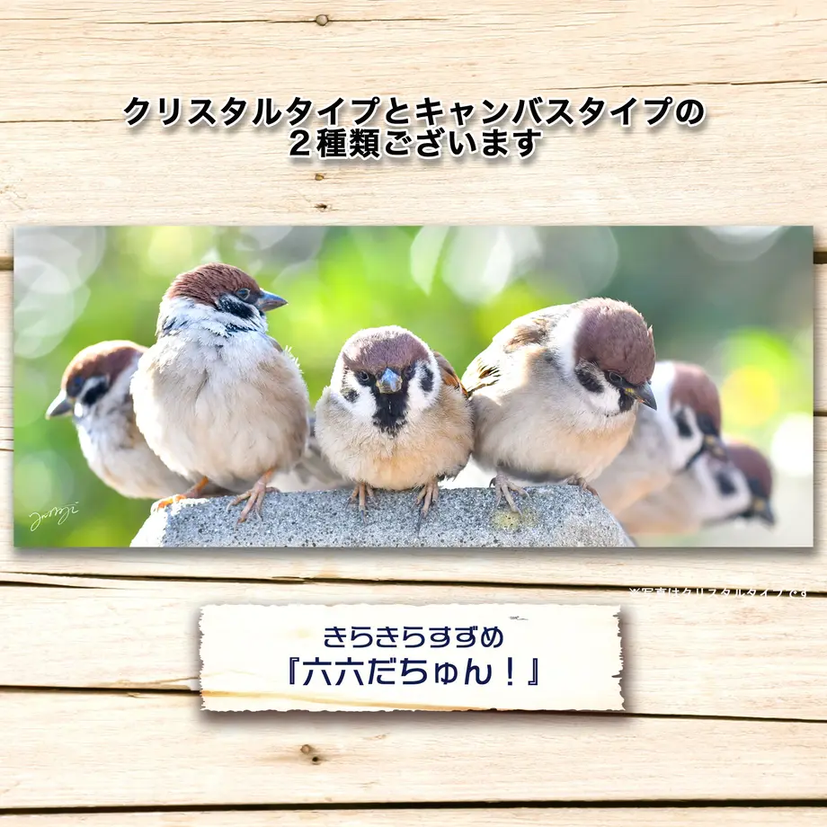 5ddb69284fb6c73868b87dc2