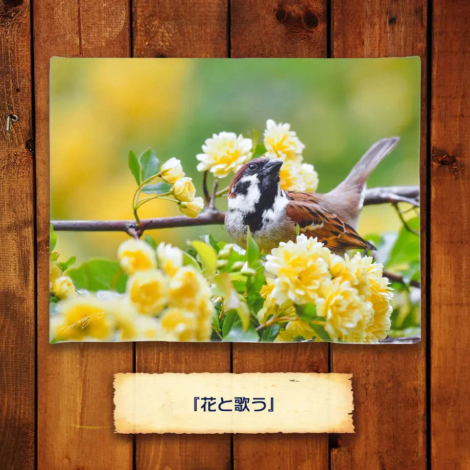 5ebc8985cee9ea01eab3c418