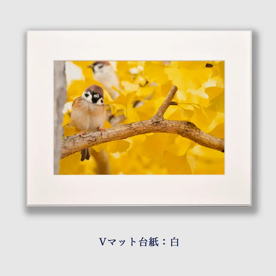 5d11efd375217961afe0d292