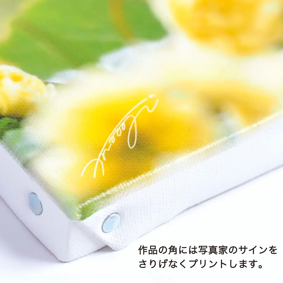 5ebc8985cee9ea01eab3c418