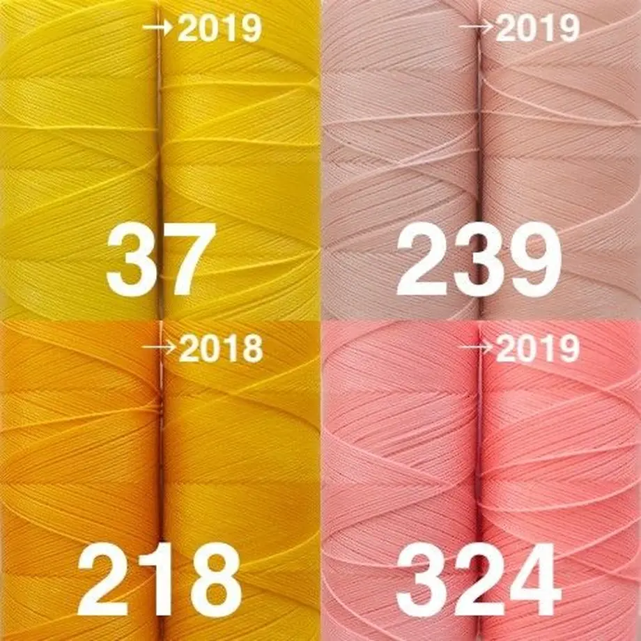 59803e49ed05e62e8a0019e2