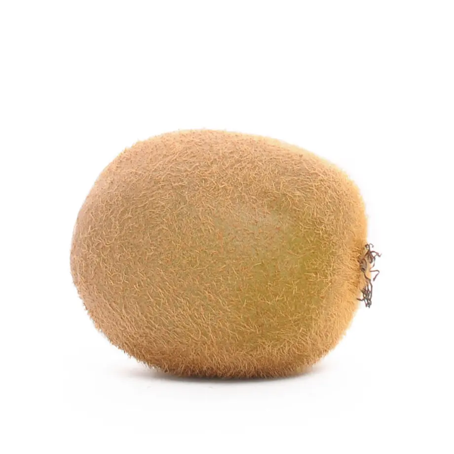 5f2e07577df2816048c02113