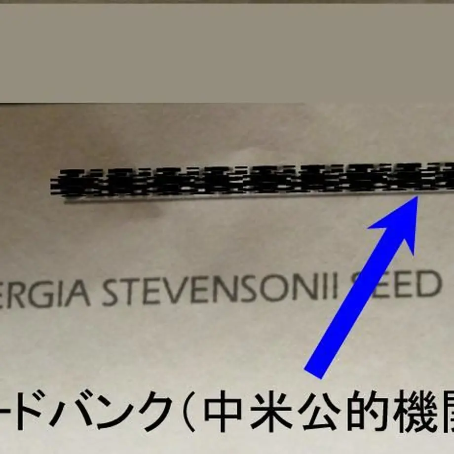 5f453161223ead18594ff266
