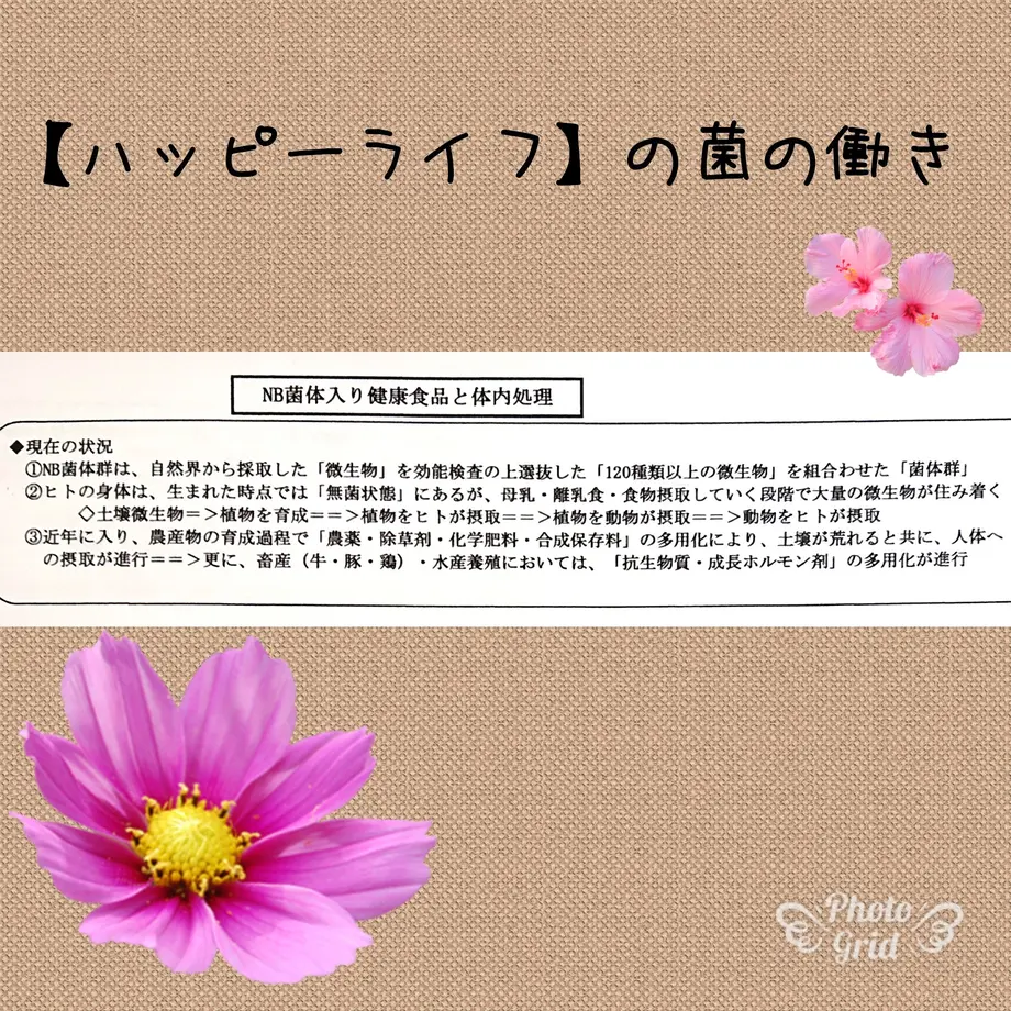 5e8eb6cb9df163466a074c94
