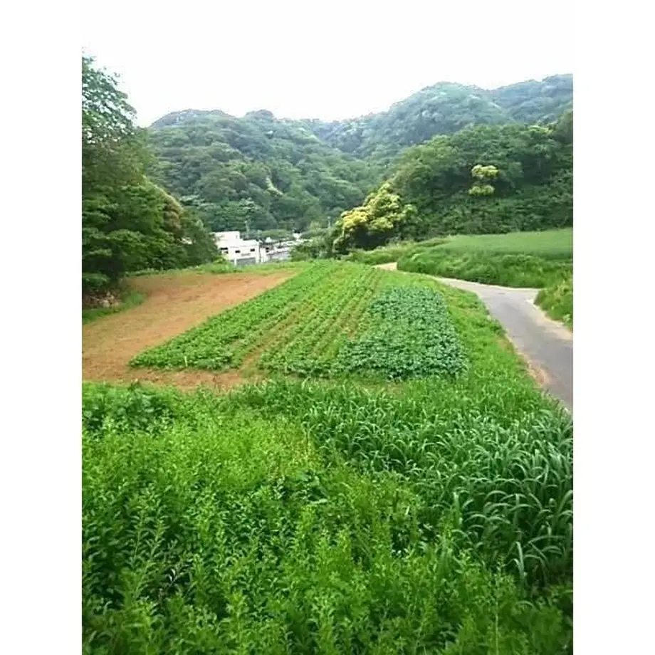 5b703fea5f78667d350013df