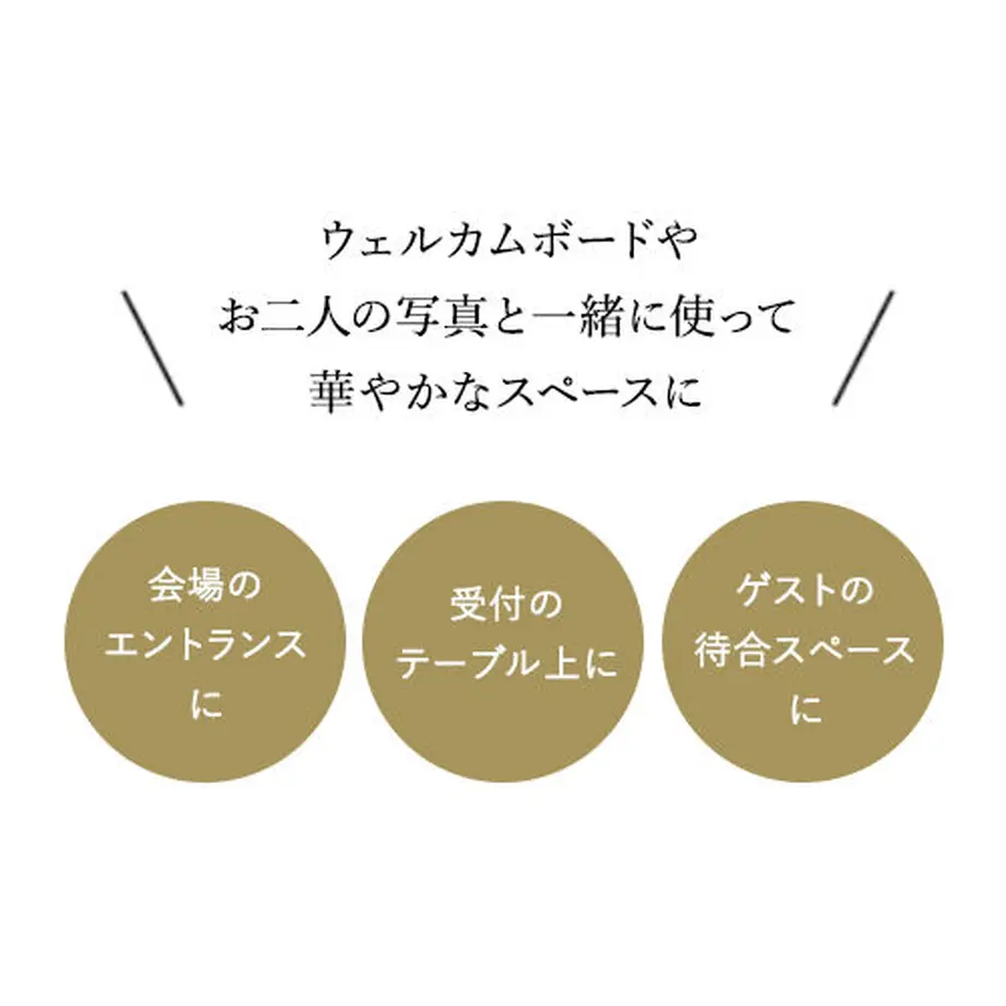 5a51ce2e428f2d1d23001428