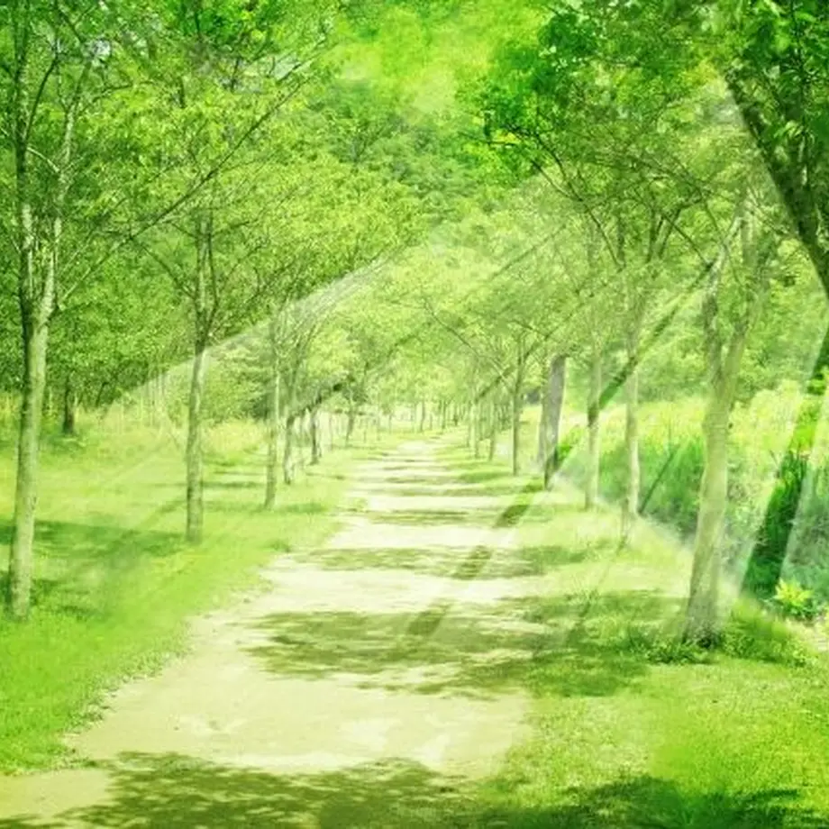 5e7324fc9df1635b950ab681