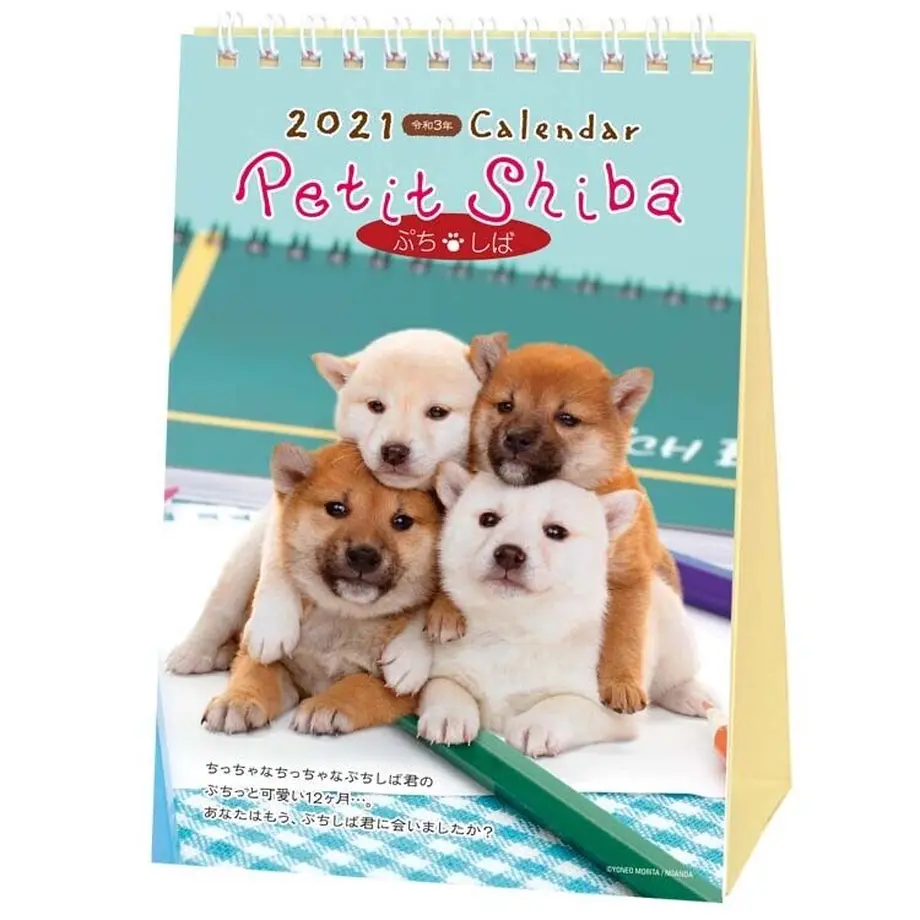 5fb49a28df51595f0a1181b5
