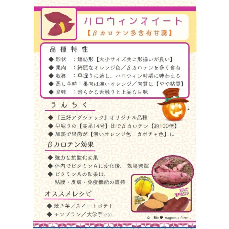 5f8ad9546e8b2b7077328e67