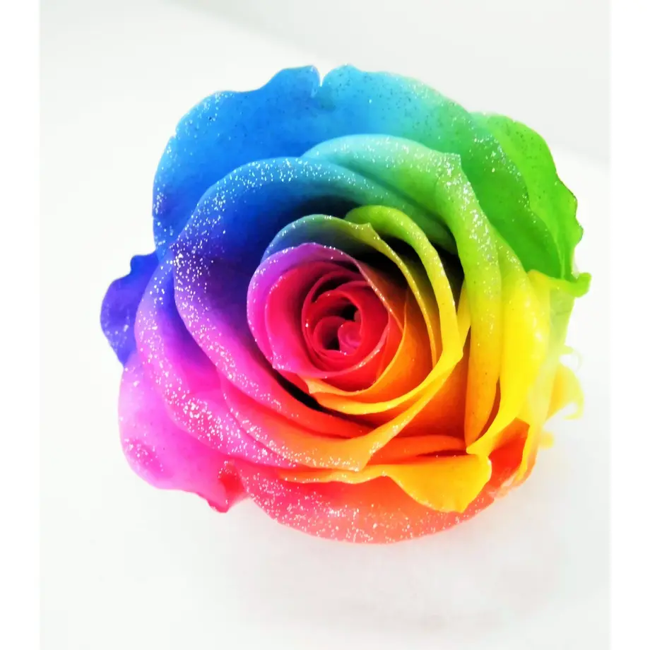 559c84debfe24c0cd6003e4b