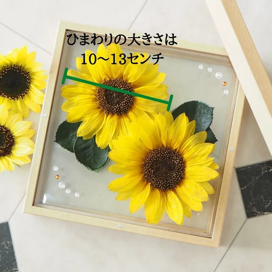 5f03cd5eec8fd347b5cf80e1