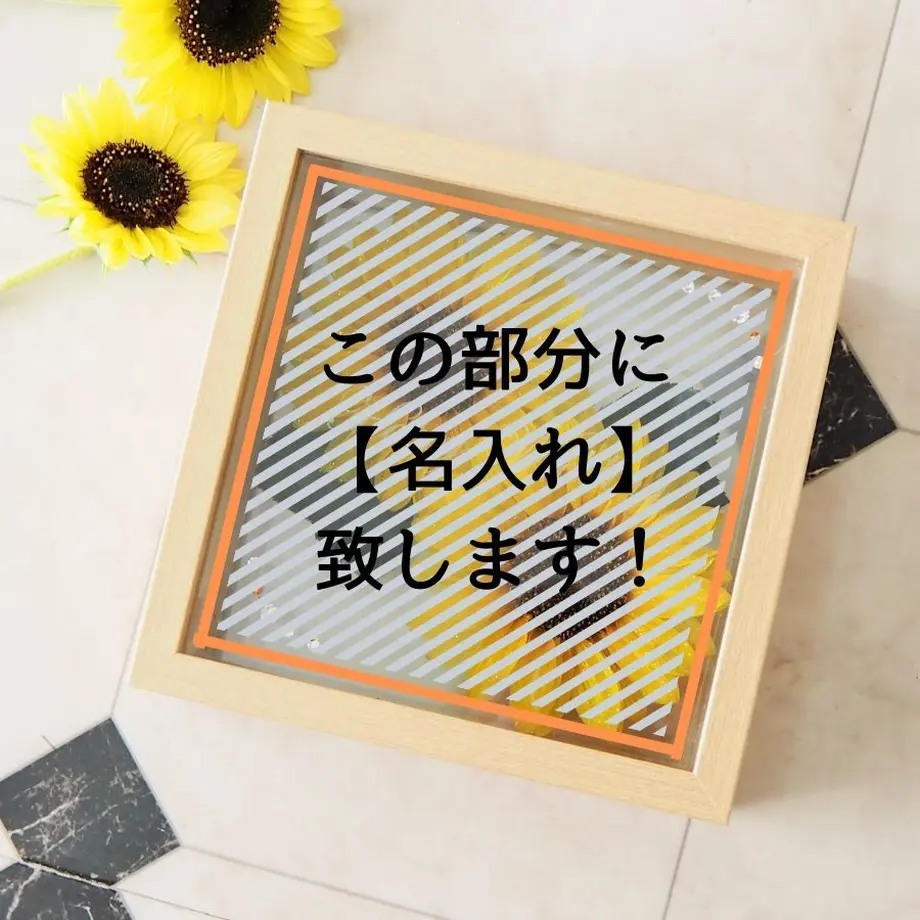 5f03cd5eec8fd347b5cf80e1