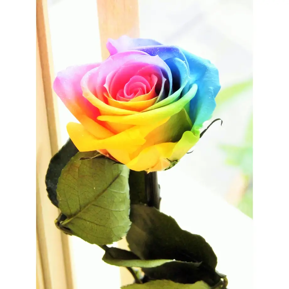 5bde97c85f786658a90000eb