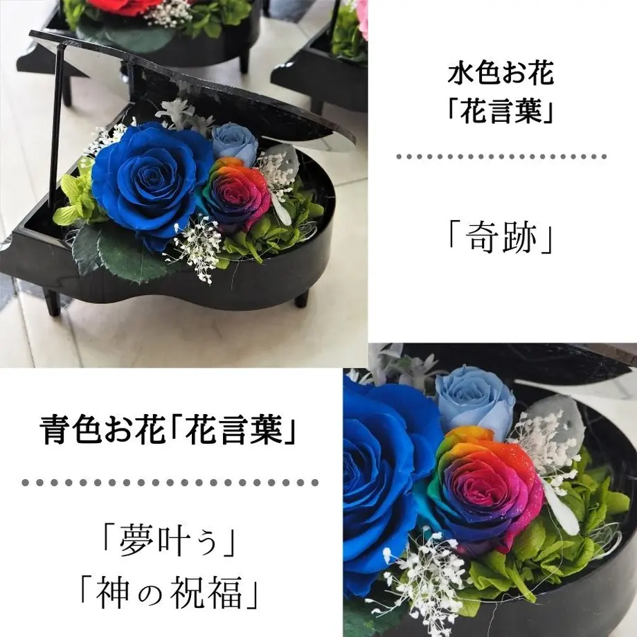 5b065f1cef843f6008008cb2
