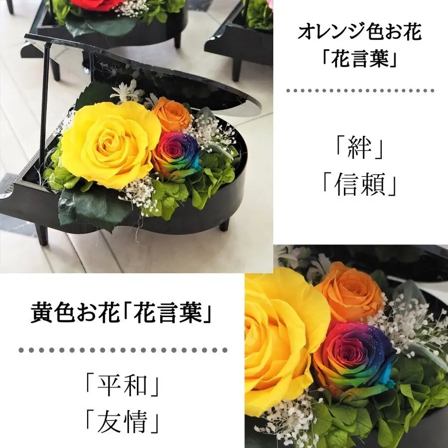 5b065f1cef843f6008008cb2