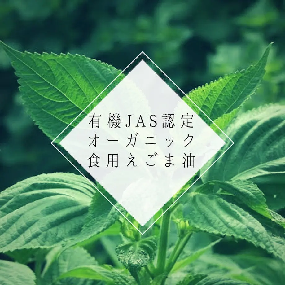 5d9f1857ff78bd234132509a