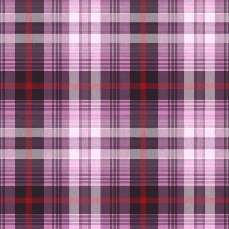 5d7703138606480c78c49f08