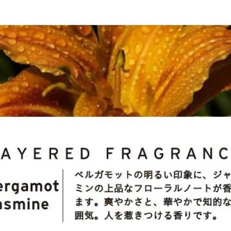 5f504b5abc44dc5677d36190
