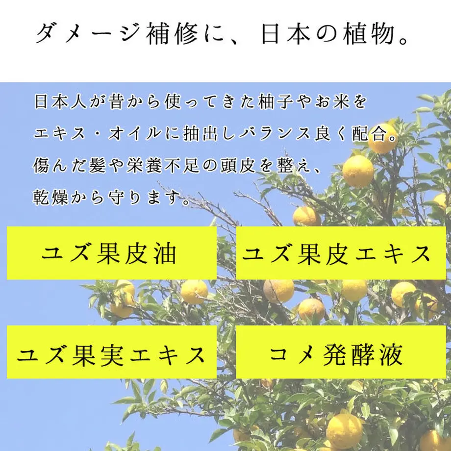 5dd7a6dbc5d0e54c81ab92b9
