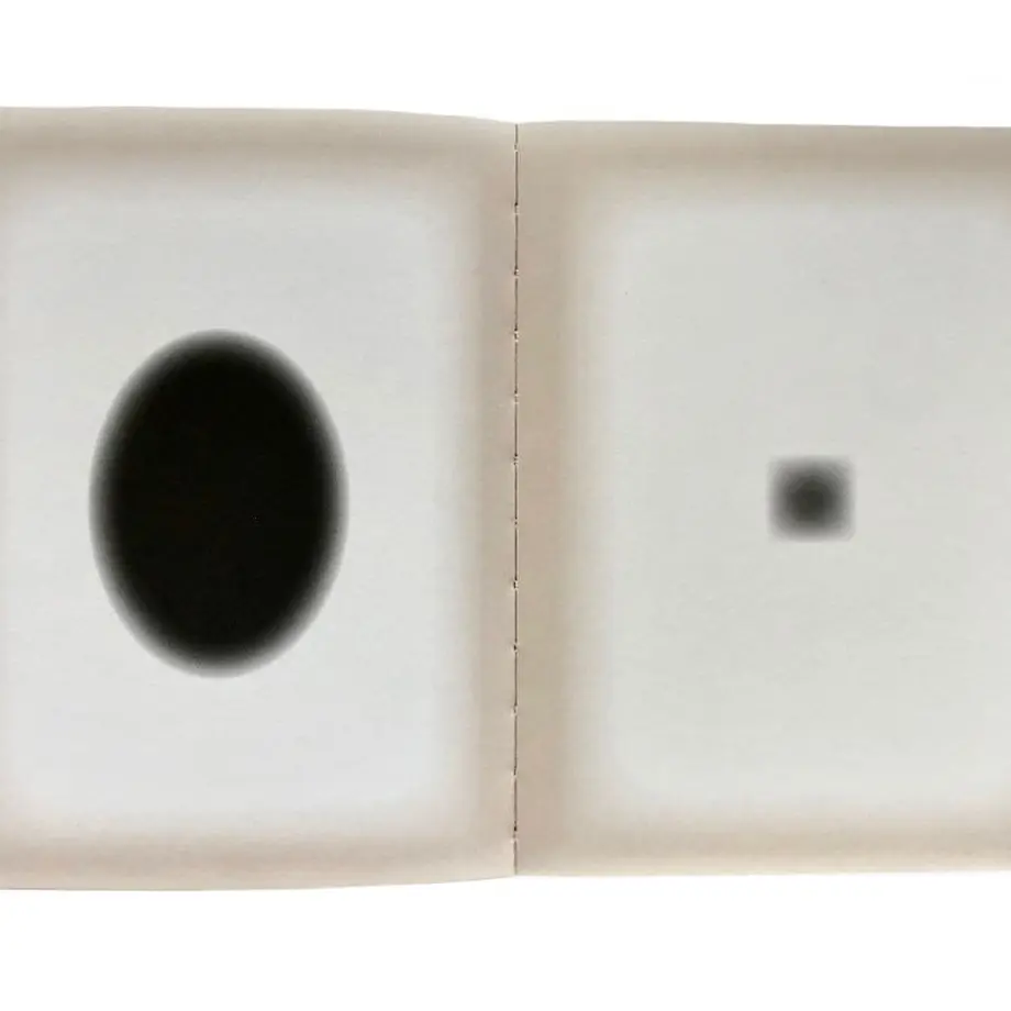5ea9119ebd217821e0003542