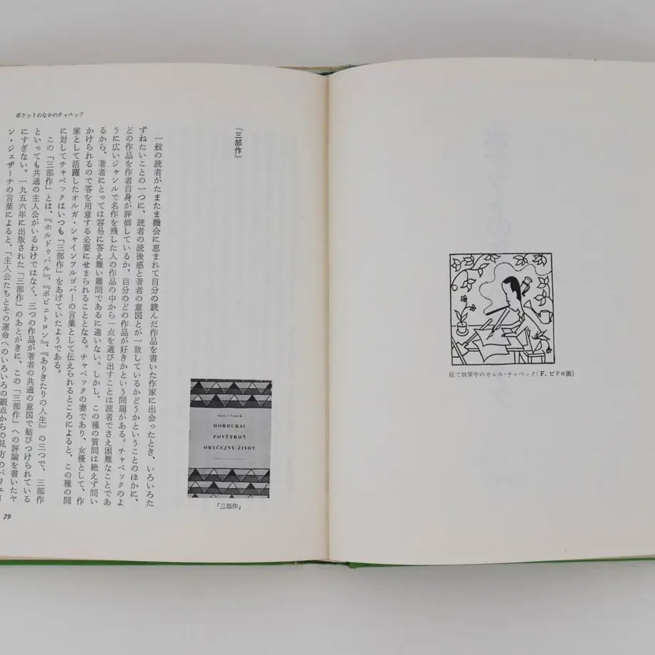 55f1aa2286b188ae960026f8