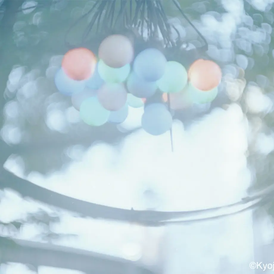 5d4e7acd2e89b725d78d3433
