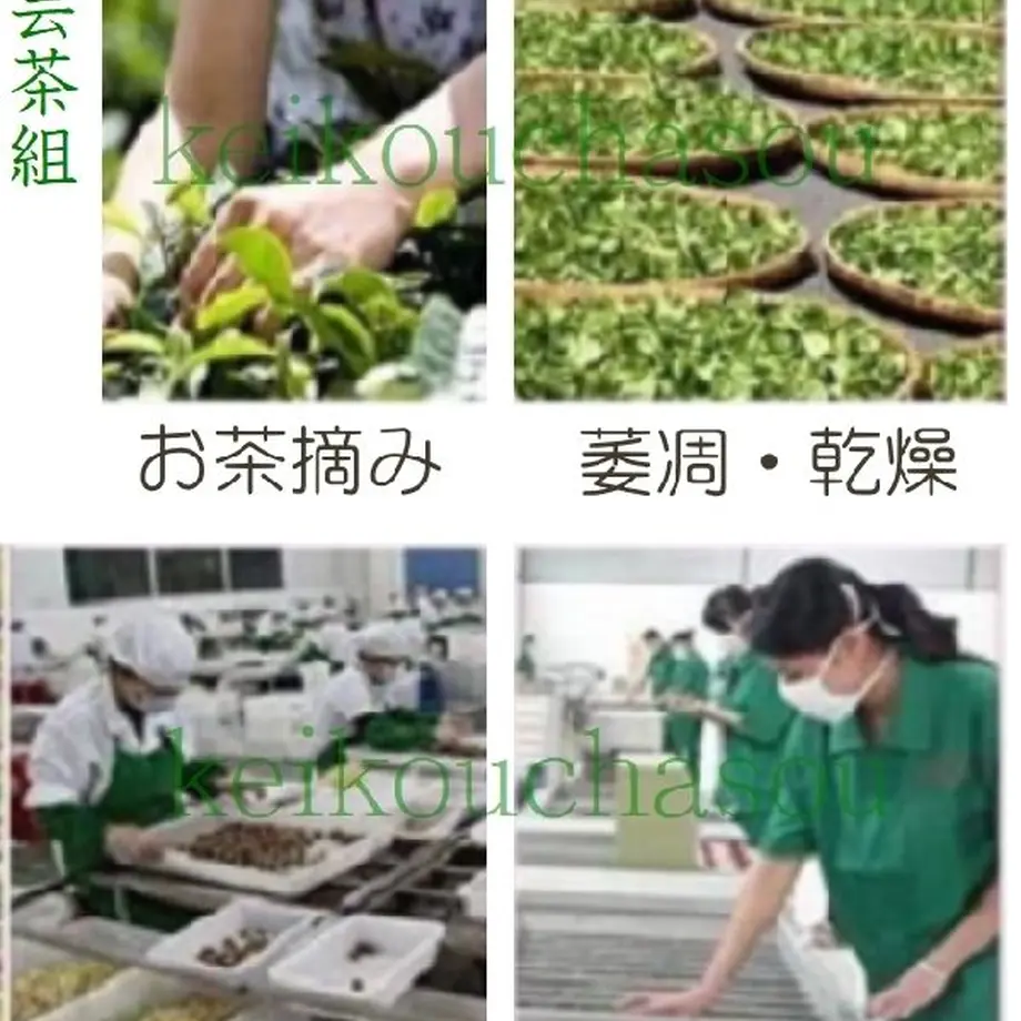 5ce5fc97d211bf6843853bb3