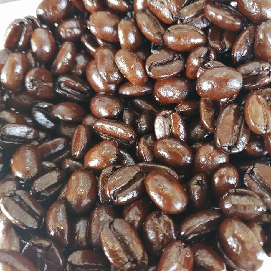 5e9544f255fa0355858dd2e9