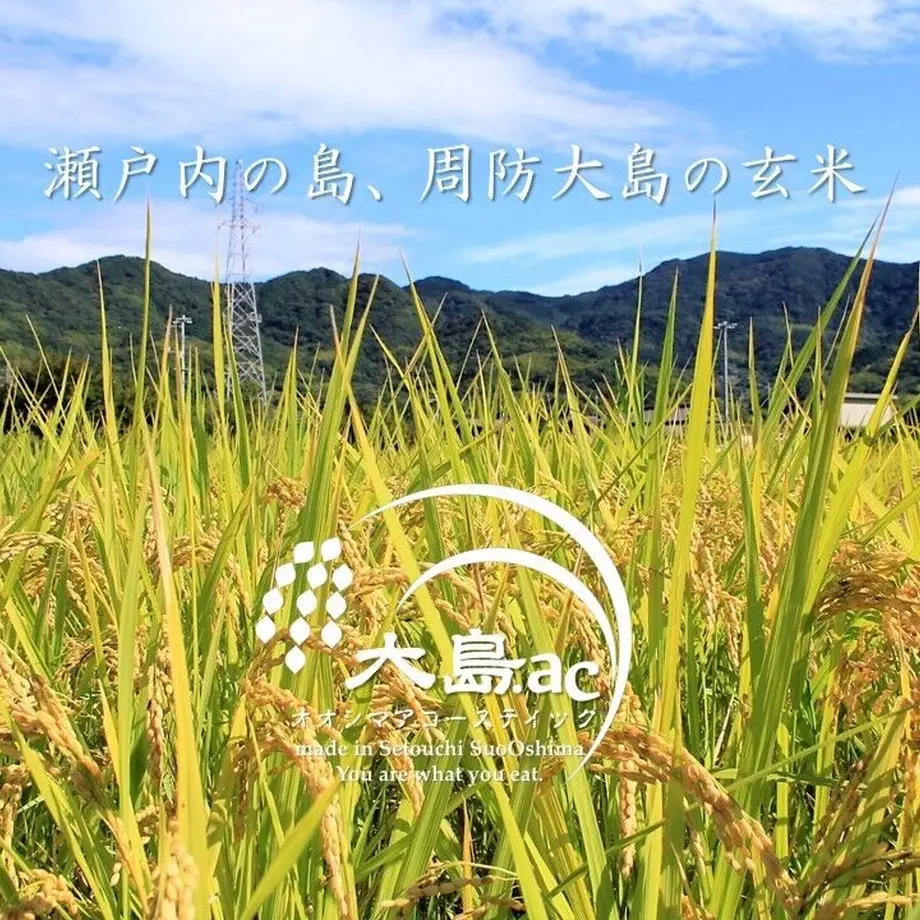 5fac99d2df515972fbf77b03