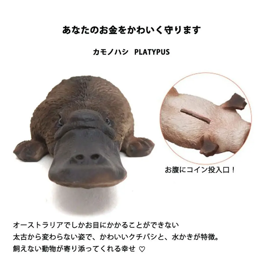 5f7300fdfbe5b57629a02b88
